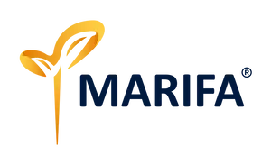 Marifa
